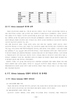 [국제마케팅](주)대상 `미원` 인도네시아 진출의 성공요인 및 문제점-11