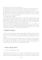 [국제마케팅](주)대상 `미원` 인도네시아 진출의 성공요인 및 문제점-13