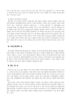 [국제경영론] `Lock&Lock` 락앤락 경영전략분석-12