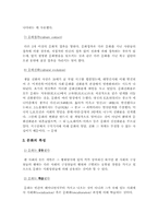 [국제경영] 국제기업의 경영과 문화의 관계-10