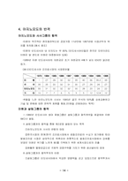 [국제경영학](주)미원의 인도네시아 진출 사례-14