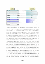 [품질경영] LG화학 품질경영 사례-10