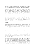 [국제경영] 매일유업 `카페라떼`의 미국시장진출-8