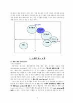 [국제경영] `LG생활건강` 콩고(자이르) 생필품진출방안-5