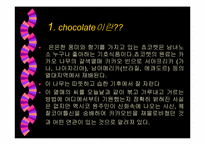 [초콜렛]초코렛에 관한 제품조사-3