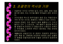 [초콜렛]초코렛에 관한 제품조사-4