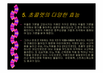 [초콜렛]초코렛에 관한 제품조사-9
