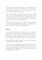 [마케팅분석]제일제당의 `솔의눈` 마케팅사례분석-4
