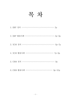[ERP, SCM, CRM] ERP,SCM,CRM 정의 및 활용사례-2