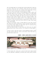 [마케팅] 더페이스샵의 마케팅 분석 A+-11