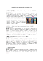 [국제관계] UN 평화유지활동 -PKO-8