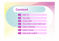 [뉴미디어론] DMB-2