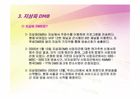 [뉴미디어론] DMB-11