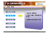 [경영전략] vk 경영전략-3