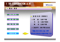 [경영전략] vk 경영전략-6