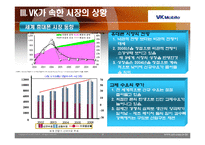 [경영전략] vk 경영전략-8