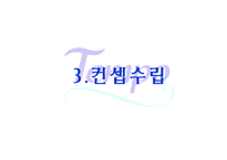 [세일즈 프로모션] 템포 SP기획서-17
