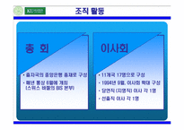 [국제경제기구론] BIS, 자기자본비율규제-8