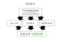 [광고론] 처음처럼 광고분석-9