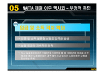 [국제경제기구론] NAFTA가 멕시코 경제에 미친 영향과 시사점-12