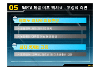 [국제경제기구론] NAFTA가 멕시코 경제에 미친 영향과 시사점-13