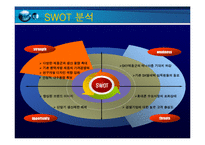 [경영전략] 팬택 앤 큐리텔 전략분석-8