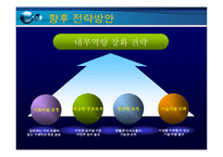 [경영전략] 팬택 앤 큐리텔 전략분석-9