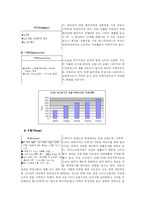 [광고론] 베스라빈스의 마케팅, 광고전략 분석-3