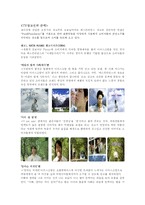 [광고론] 베스라빈스의 마케팅, 광고전략 분석-9