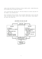 [국제경제기구론] 유로화의 출범과 대응전략-9
