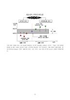 [국제경제기구론] 유로화의 출범과 대응전략-13