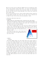 [국제마케팅] 글로벌기업으로의 도약 `한국타이어`-13