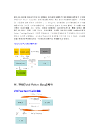 [재무] 다이아몬드펀드의 실패사례-5