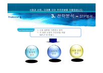 [인터넷마케팅] 푸르덴셜(MYLP.COM) 사례분석-18