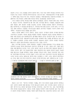 [한국문학비평론] 파농의 저서를 통해 분석한 영화 `보리밭을 흔드는 바람`-10