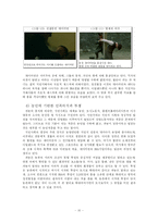 [한국문학비평론] 파농의 저서를 통해 분석한 영화 `보리밭을 흔드는 바람`-12