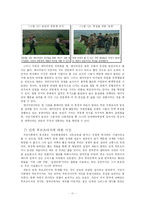 [한국문학비평론] 파농의 저서를 통해 분석한 영화 `보리밭을 흔드는 바람`-13