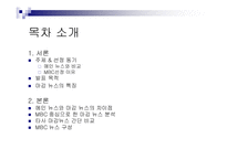 [매스컴] 뉴스분석-2