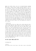 한류열풍 레포트-5