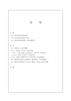 [영상문화] 대전격투게임의 스토리텔링-2