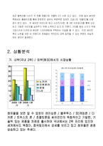 [홍보론] LG전자의 휴대폰 싸이언(CYON) 전략-4