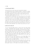 [매스컴] 드라마 작가 비교 분석 -인정옥과 임성한-3