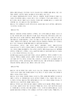 [사회학] 정보화와 인터넷의 영향-9