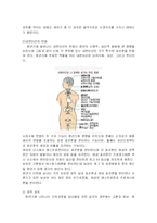 [사회복지] 청년기의 사회복지실천-4
