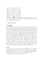[사회복지] 청년기의 사회복지실천-14