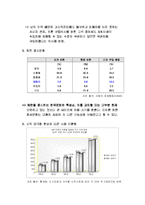 [경영학원론 ,마케팅] 현대자동차기업분석과 에쿠스마케팅-8