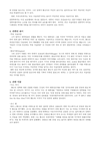 [저널리즘이론] 곤조저널리즘-4