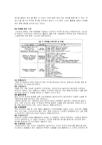 [관광사회학] 한국 리조트 개발의 평가-2