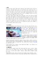 [관광사회학] 한국 리조트 개발의 평가-5