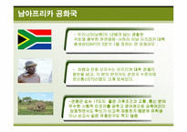 아프리카 경제와 진출방안에 대한 연구-10